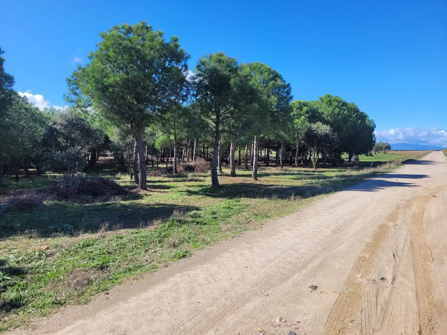 Rural land for sale in Santo Domingo-Caudilla, imagen 4
