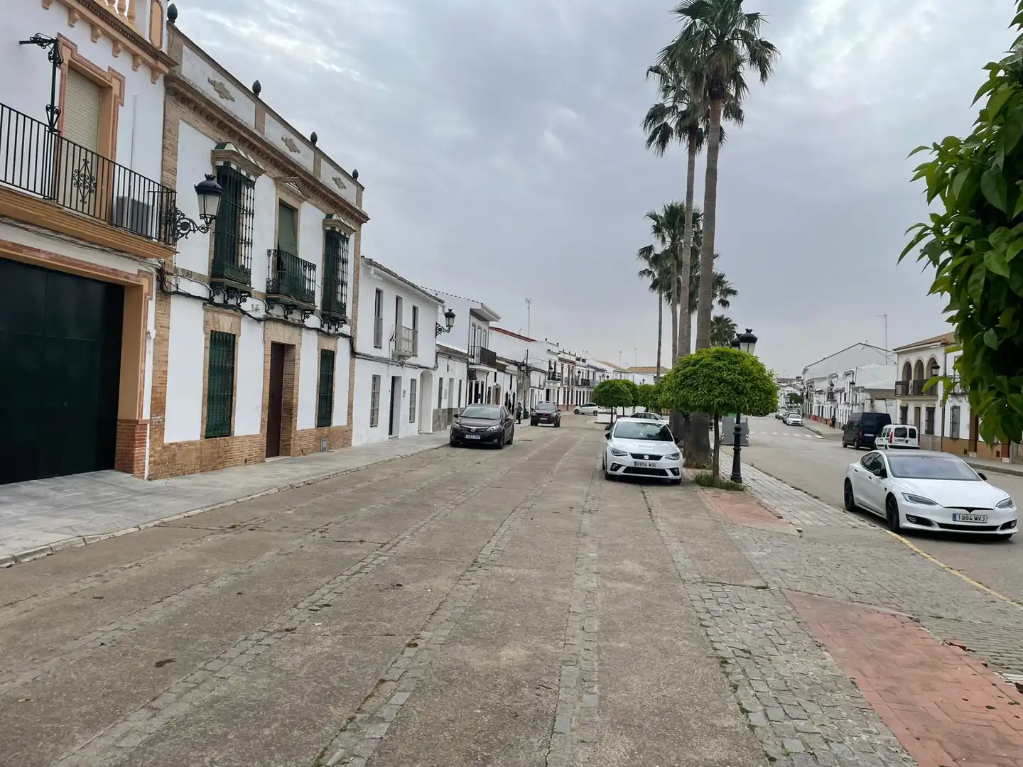 Exterior view of Houses for sale in Carrión de los Céspedes  with Private garden