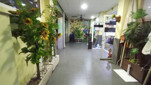 Local comercial en Alquiler en L'Illa Perduda
