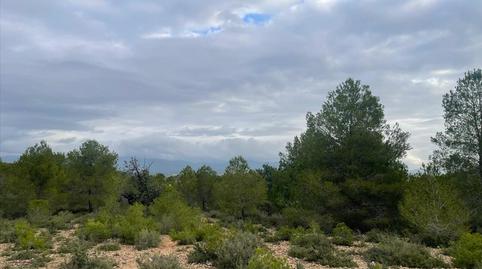 Foto 5 de Residencial en venta en Poligono N-30.r, 106, -1, La Conarda - Montesano, Valencia