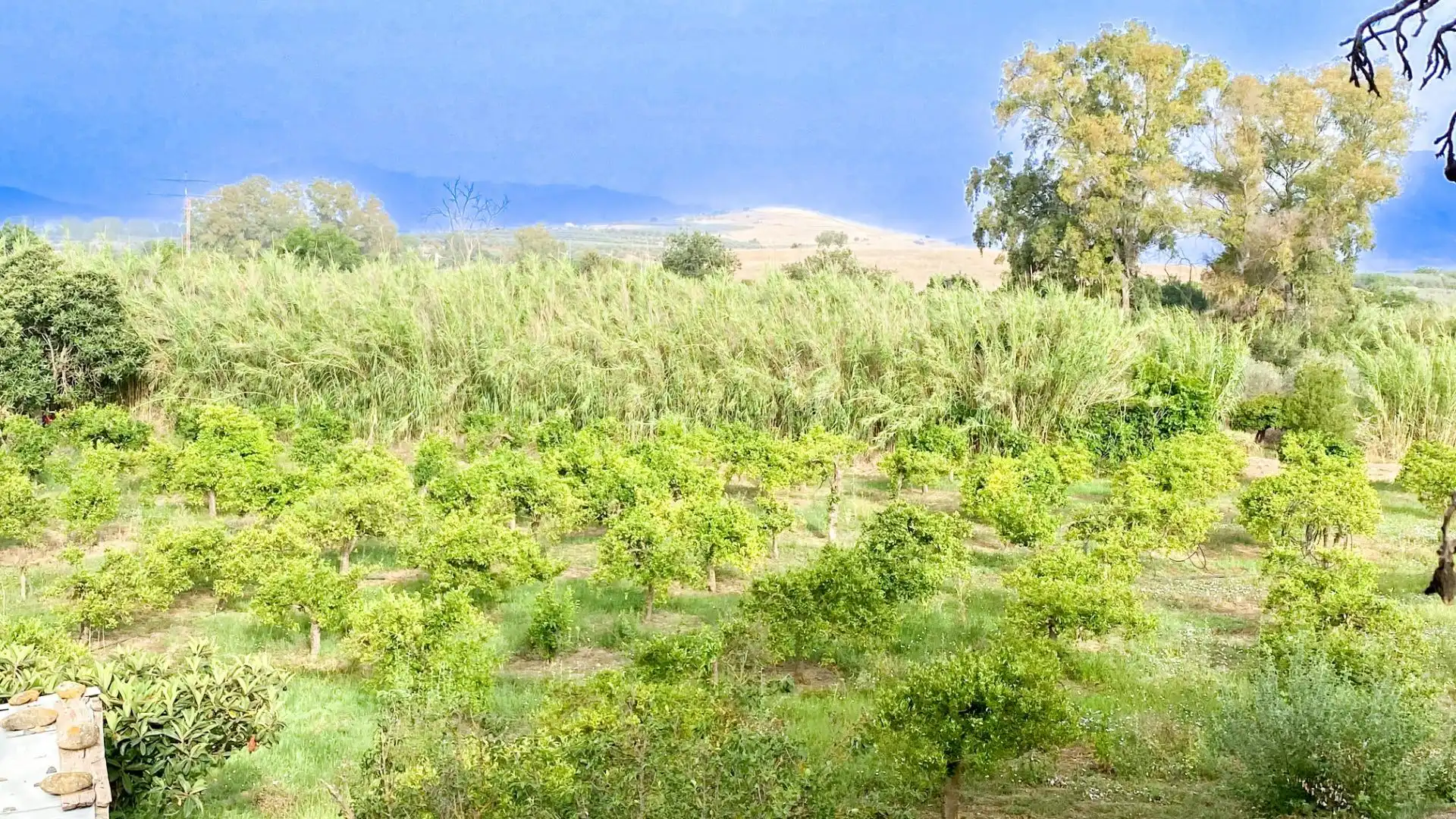Casa rústica amb jardí en venda a VIUDA CHICA 1, imagen 28