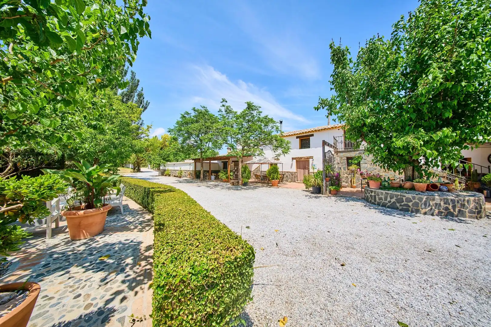Jardí de Finca rústica en venda en Baza