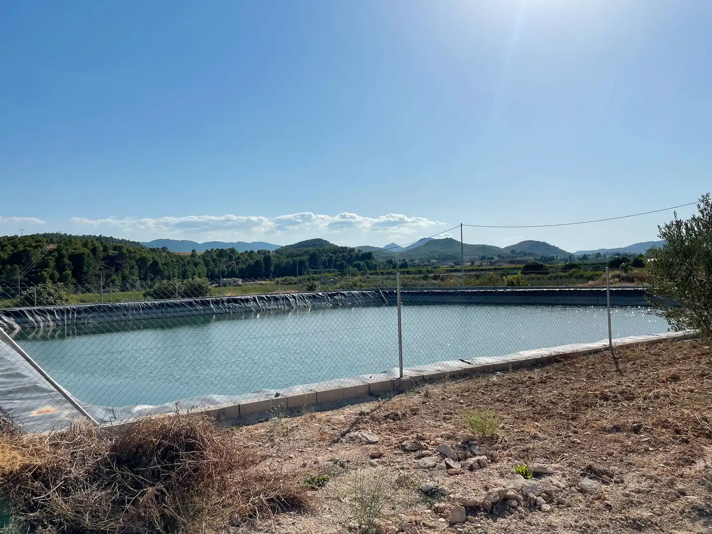 Terreno rustico in vendita a Cehegín, imagen 3