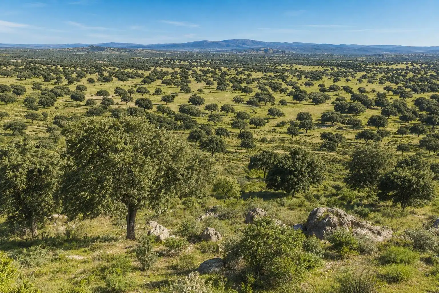 Finca rústica en venda en Almadén