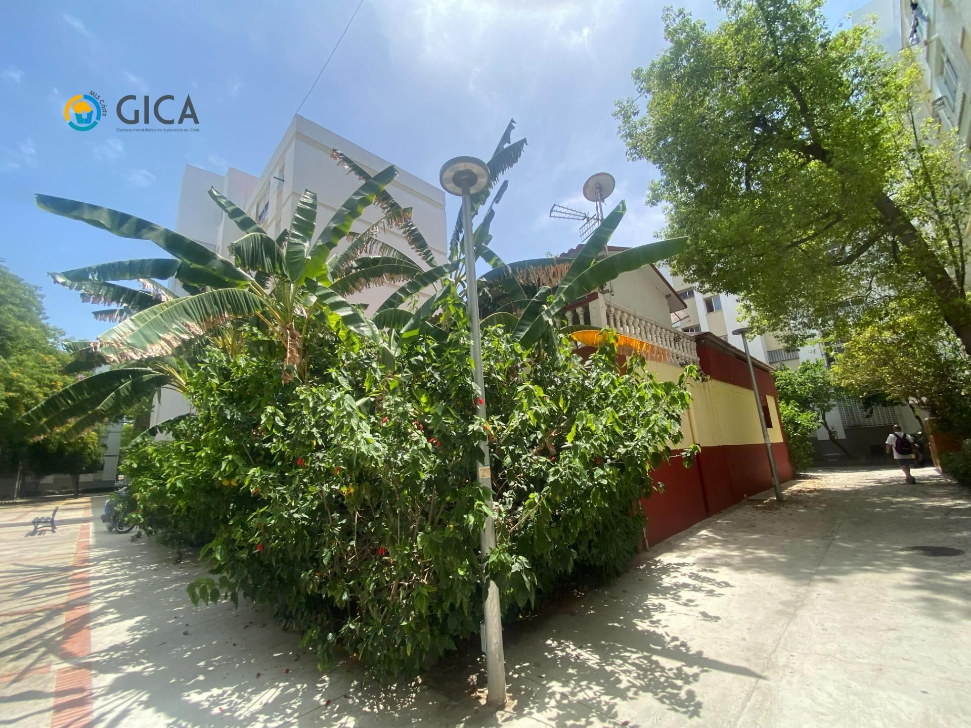 Vista exterior de Piso en venta en  Cádiz Capital con Terraza