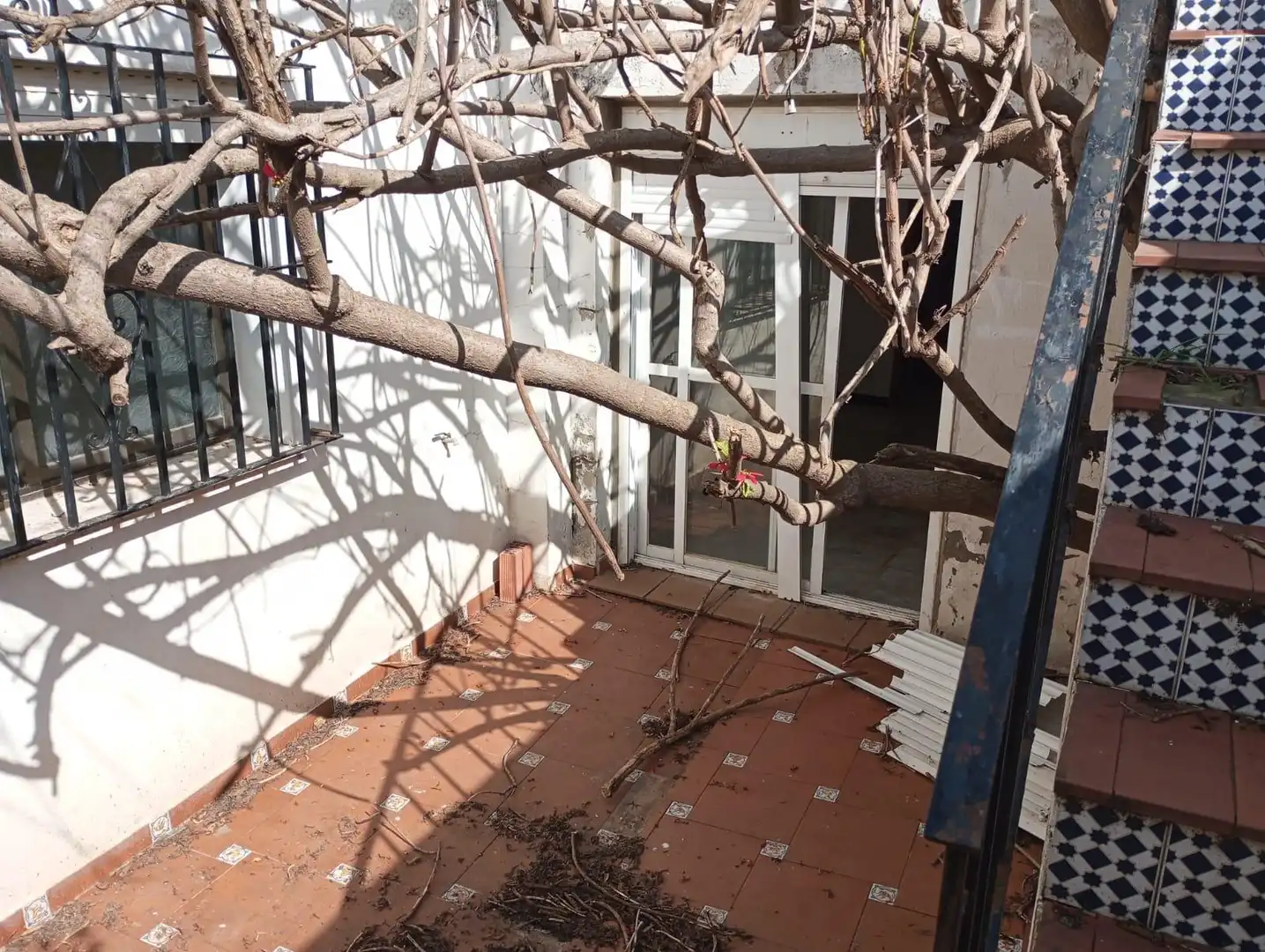 House with garden for sale in La Granja - La Colina - Los Pastores, imagen 15