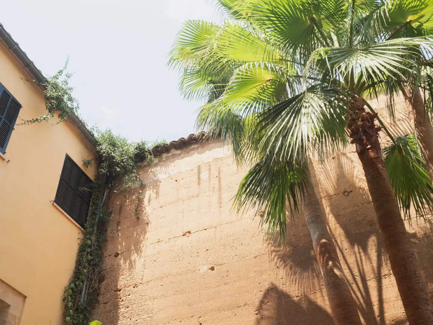 Vista exterior de Apartamento en venta en  Palma de Mallorca con Aire acondicionado, Jardín privado y Terraza