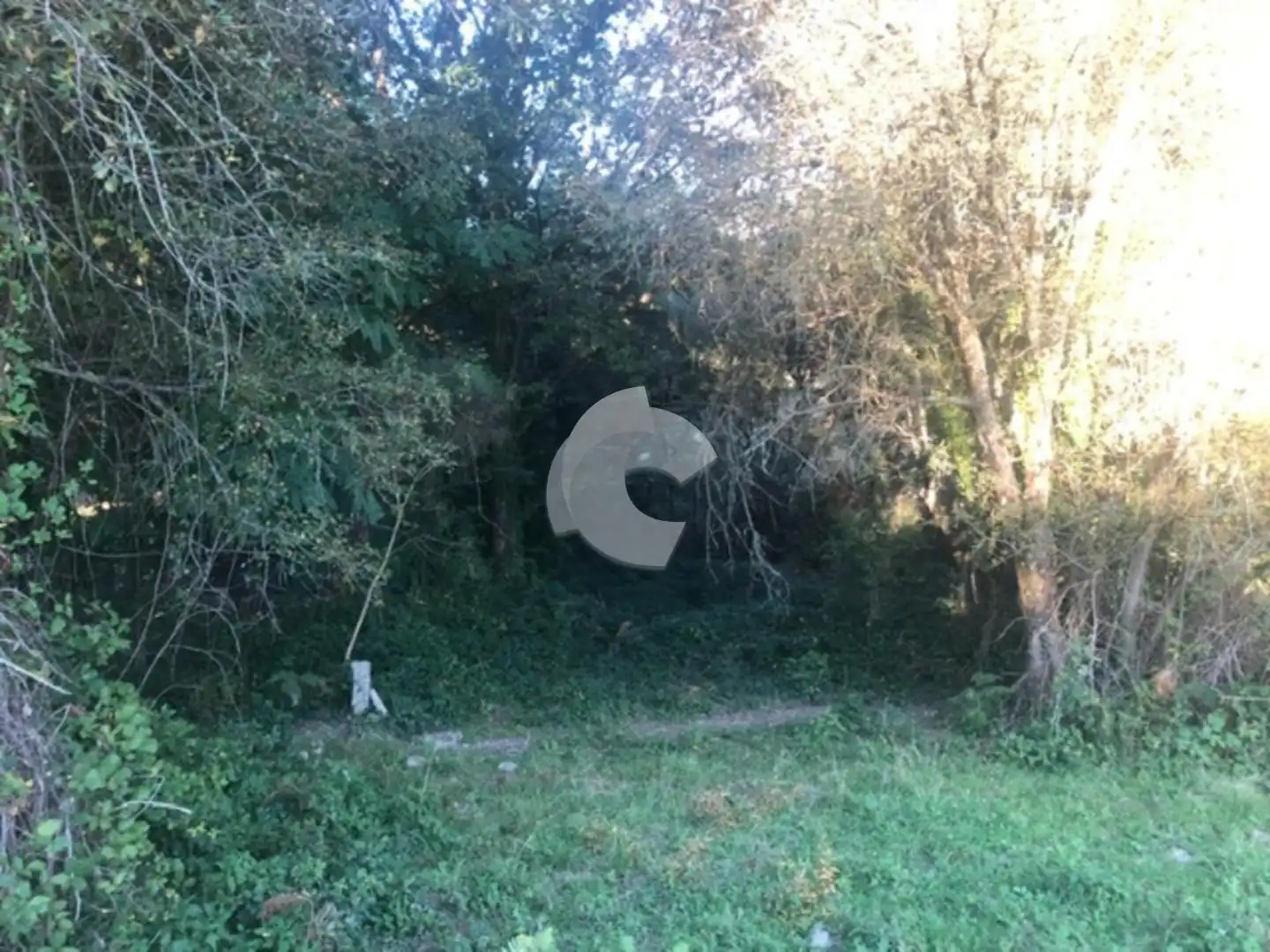 Terreni e lotti in vendita a Nogueira de Ramuín, imagen 51
