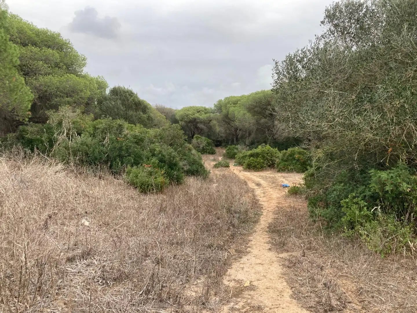 Grundstücke und Bauplätze zum Verkauf in Vejer