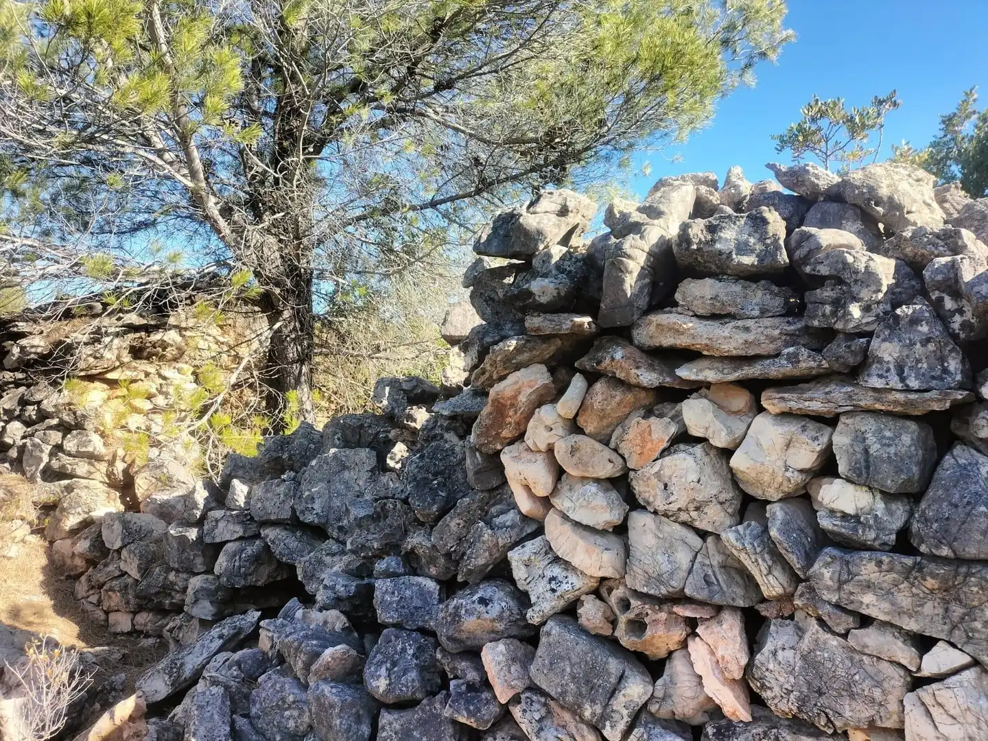 Terreno rustico in vendita a Polígono 6 Parcela 31 CARRASQUETA. NAVARRES (VALE 6, imagen 6