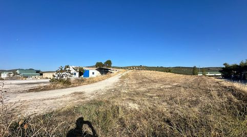 FINCA RÚSTICA AGRARIA EN MOCLÍN, GRANADA., immagine 3