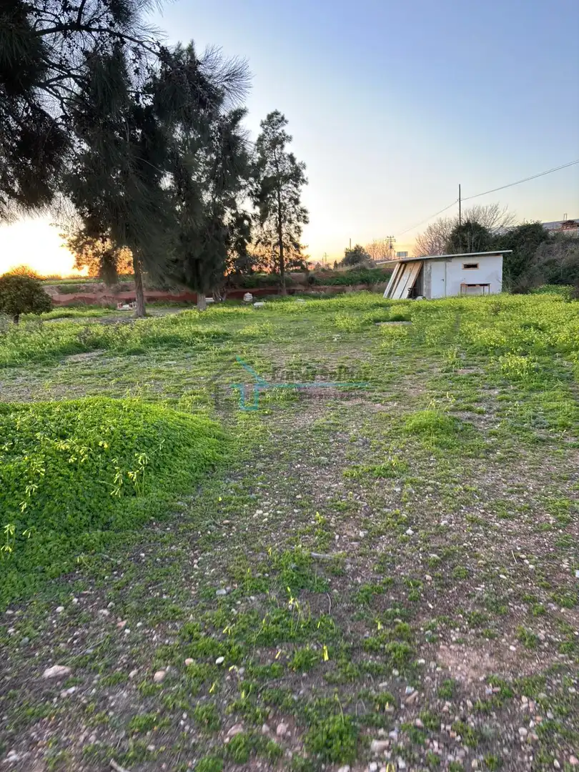 Terreni e lotti in vendita a Los Pinares - La Masia, imagen 11