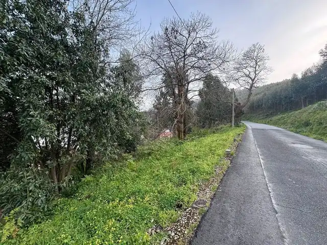Terreni e lotti in vendita a Mugardos, imagen 13