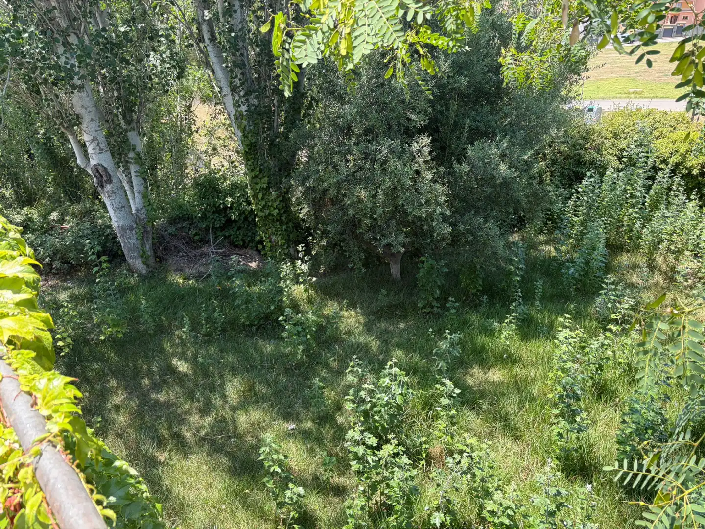 Casa o chalet en venta en La Pobla de Montornès   con Aire acondicionado, Calefacción y Jardín privado