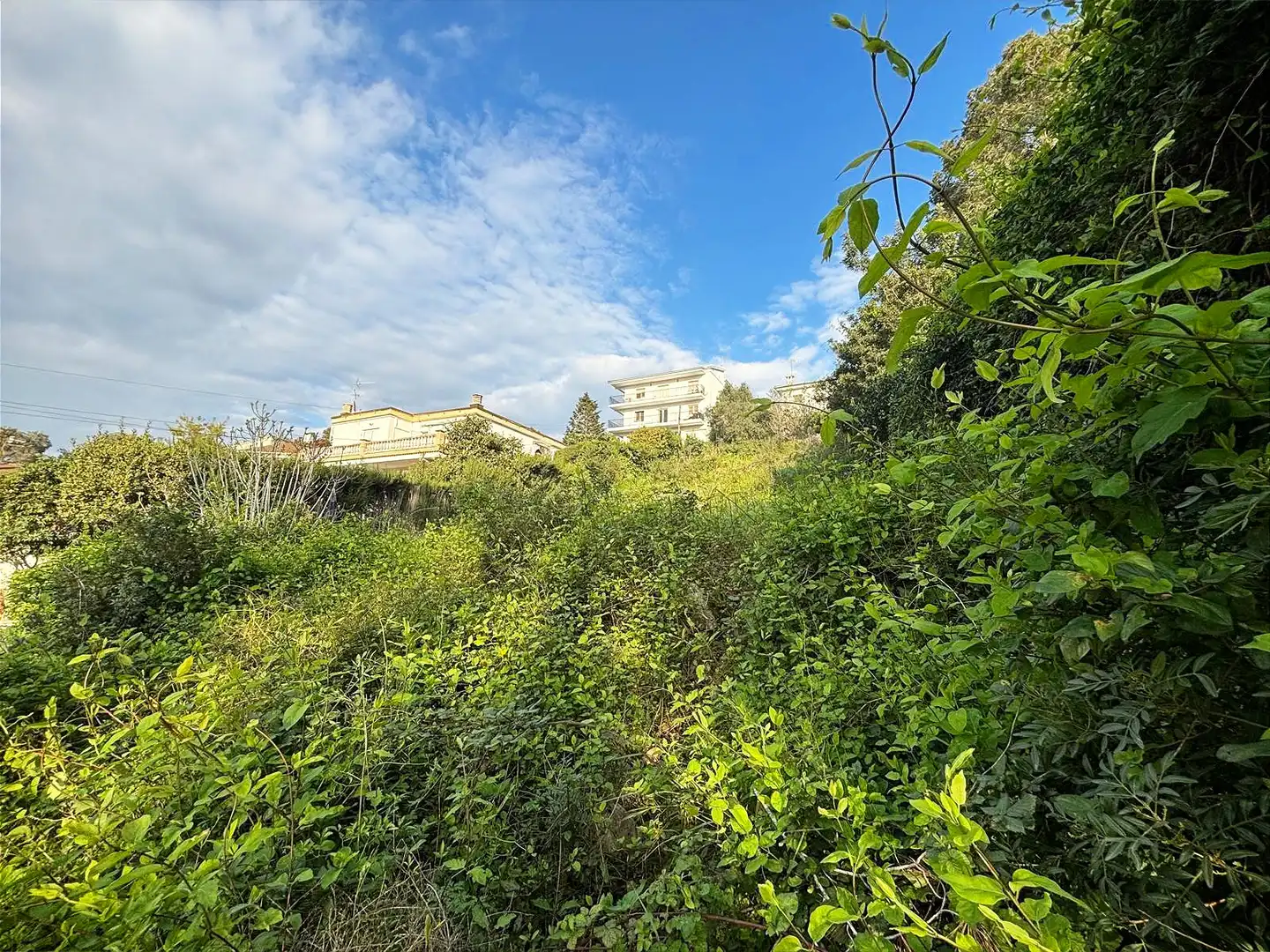 Terreno residencial en venta en Canyelles, imagen 15