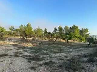 Terreno rústico en venta en Benifallet, imagen 12