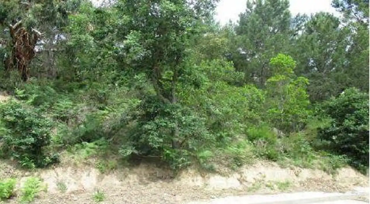Residential land for sale in Carrer Pollancre, imagen 3