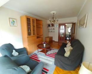 Sala d'estar de Apartament de lloguer en Vigo 