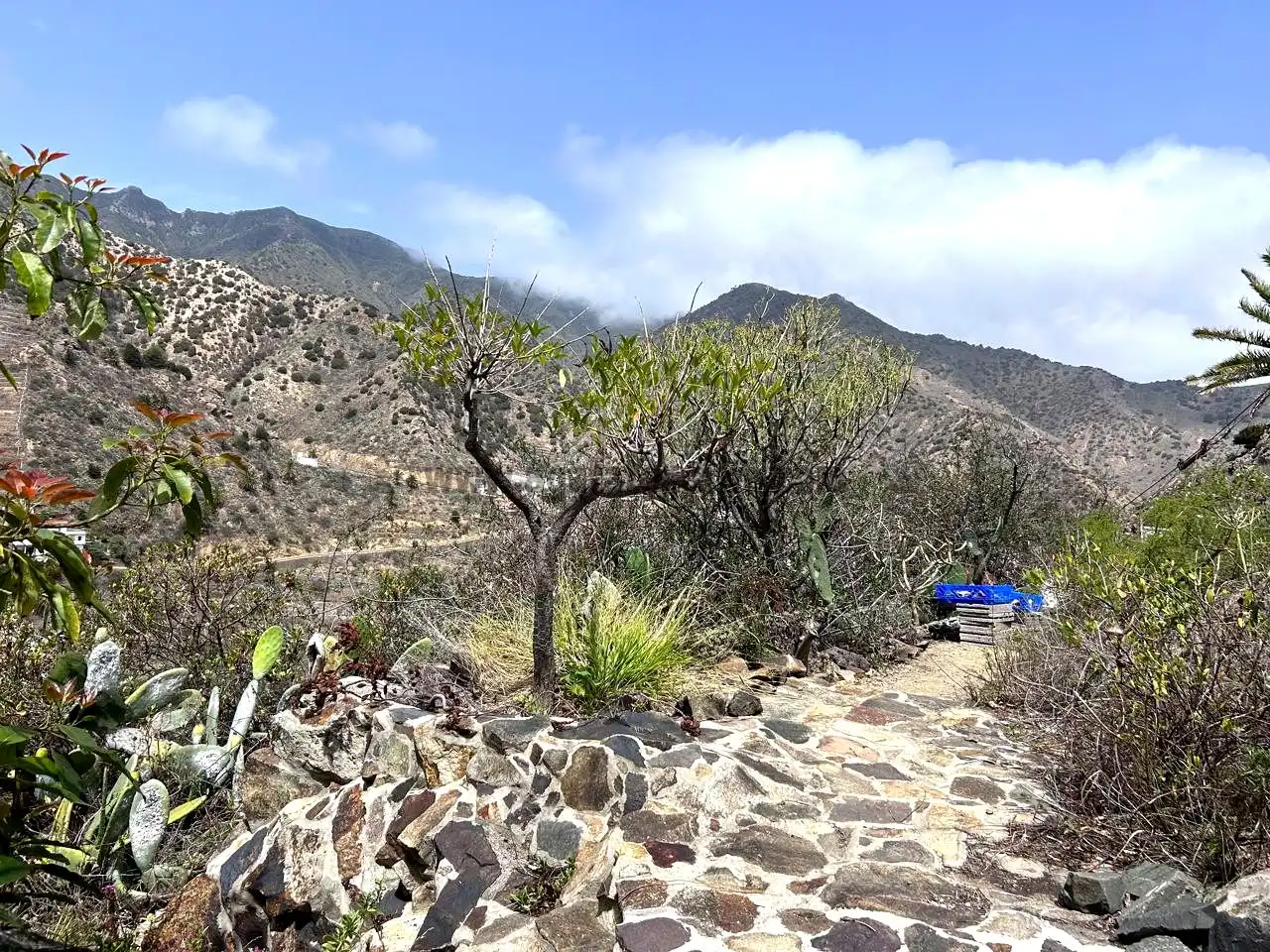 Vista exterior de Finca rústica en venta en Vallehermoso con Aire acondicionado, Calefacción y Jardín privado
