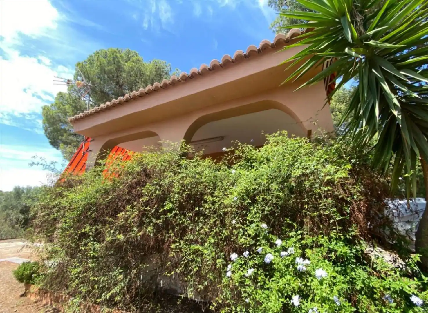 Vista exterior de Casa o xalet en venda en Náquera amb Terrassa, Traster i Piscina