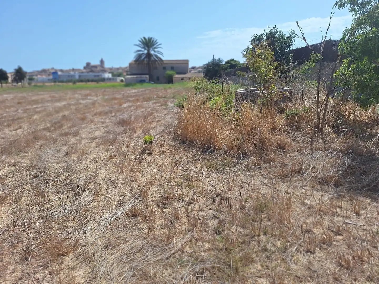 Terrenys i solars en venda a Sineu, imagen 15