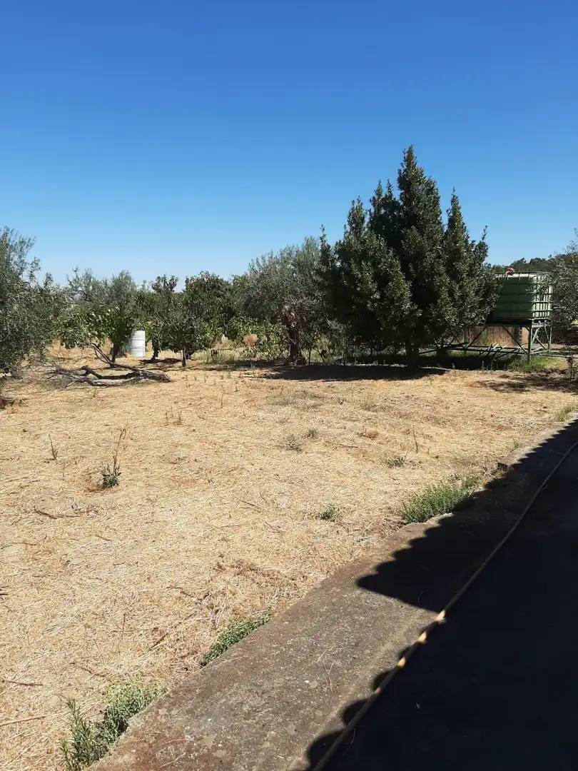 Finca rústica en venta en Jerte