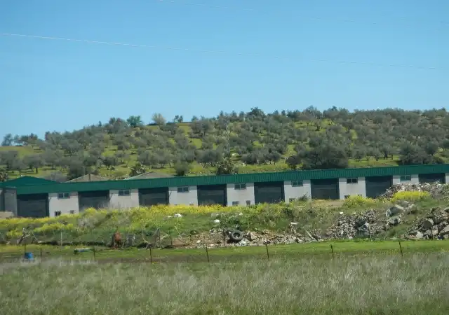 Terreni e lotti in vendita a Alanís