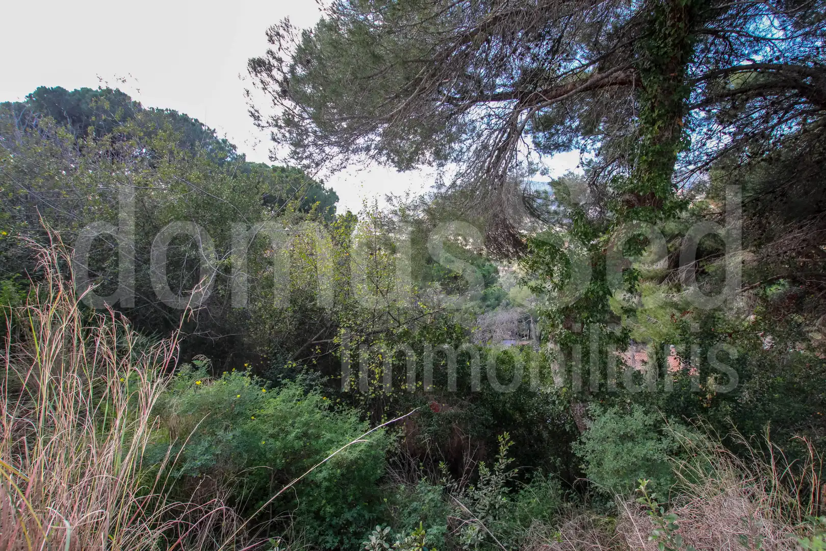 Residential for sale in Cabrils