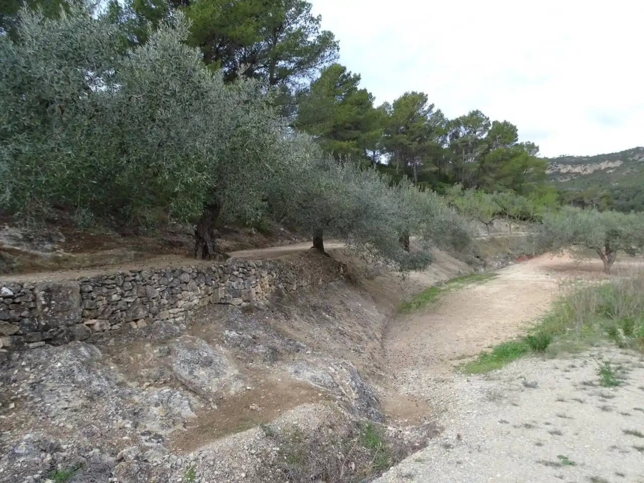 Terrain résidentiel à vendre à Xerta, imagen 7
