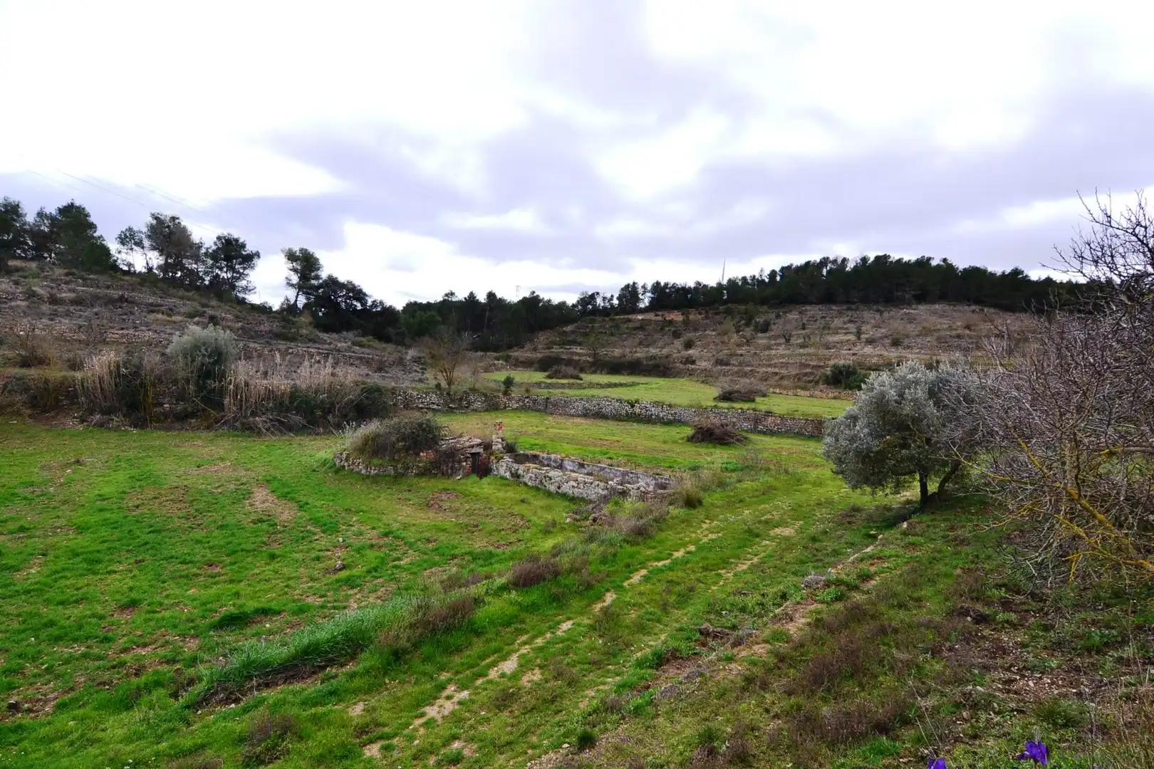 Terreno en venta en Vilalba dels Arcs