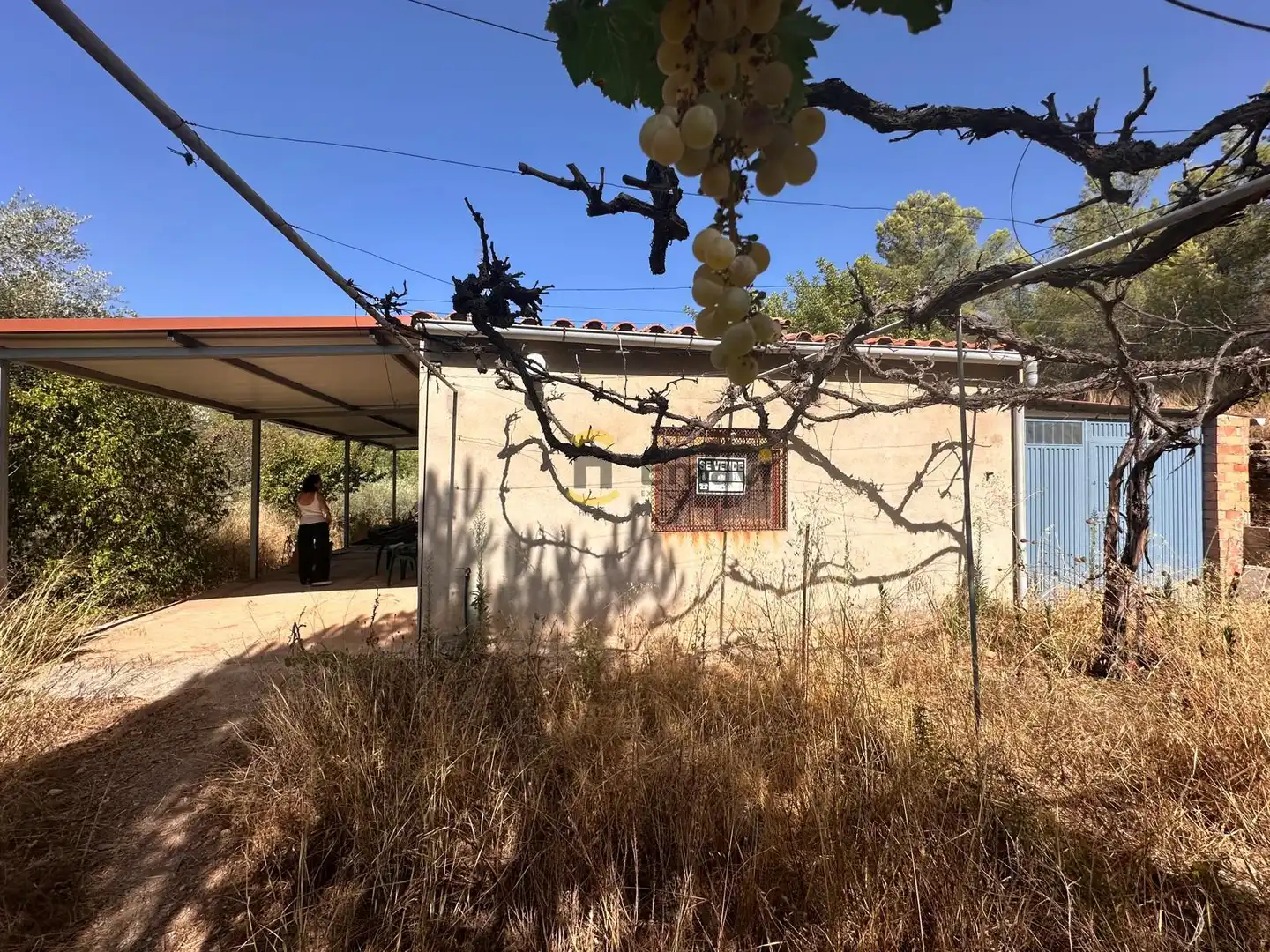 Vista exterior de Finca rústica en venta en Figueroles, Castellón