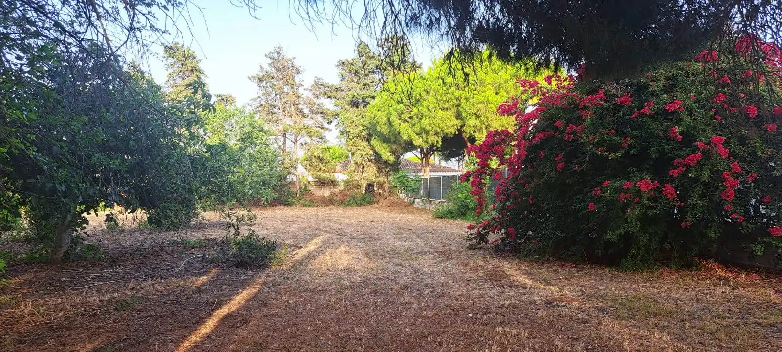 Garden of Houses for sale in Chiclana de la Frontera  with Private garden, Terrace and Furnished
