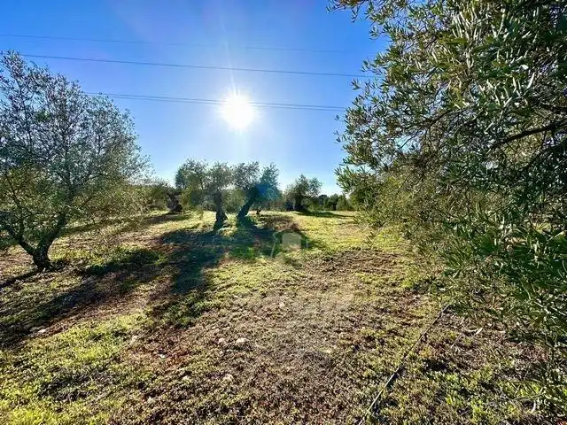 Finca rústica en venta en Adamuz
