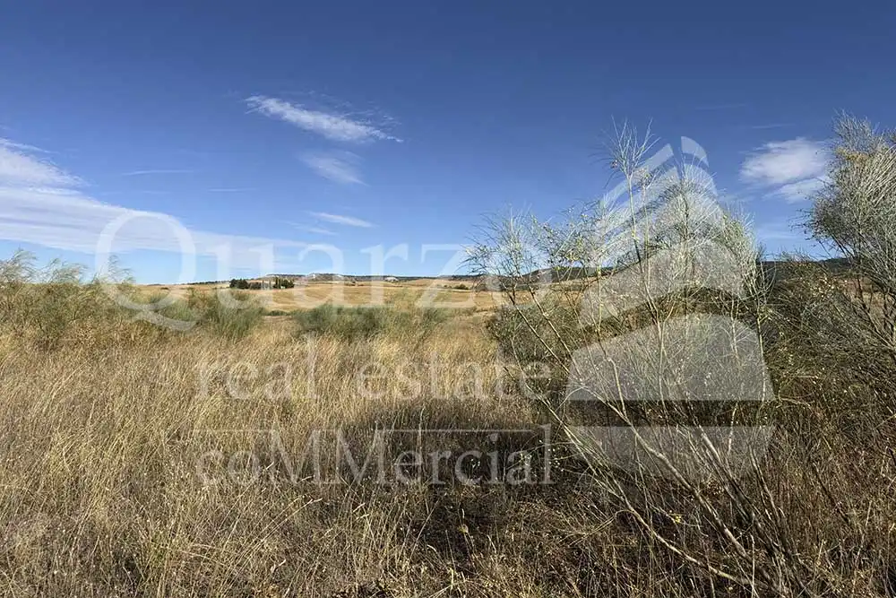 Terreny rústic en venda a Tórtola de Henares, imagen 2
