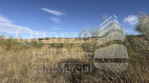 SE VENDE SOLAR RÚSTICO EN TÓRTOLA DE HENARES, (GUADALAJARA), imatge 2