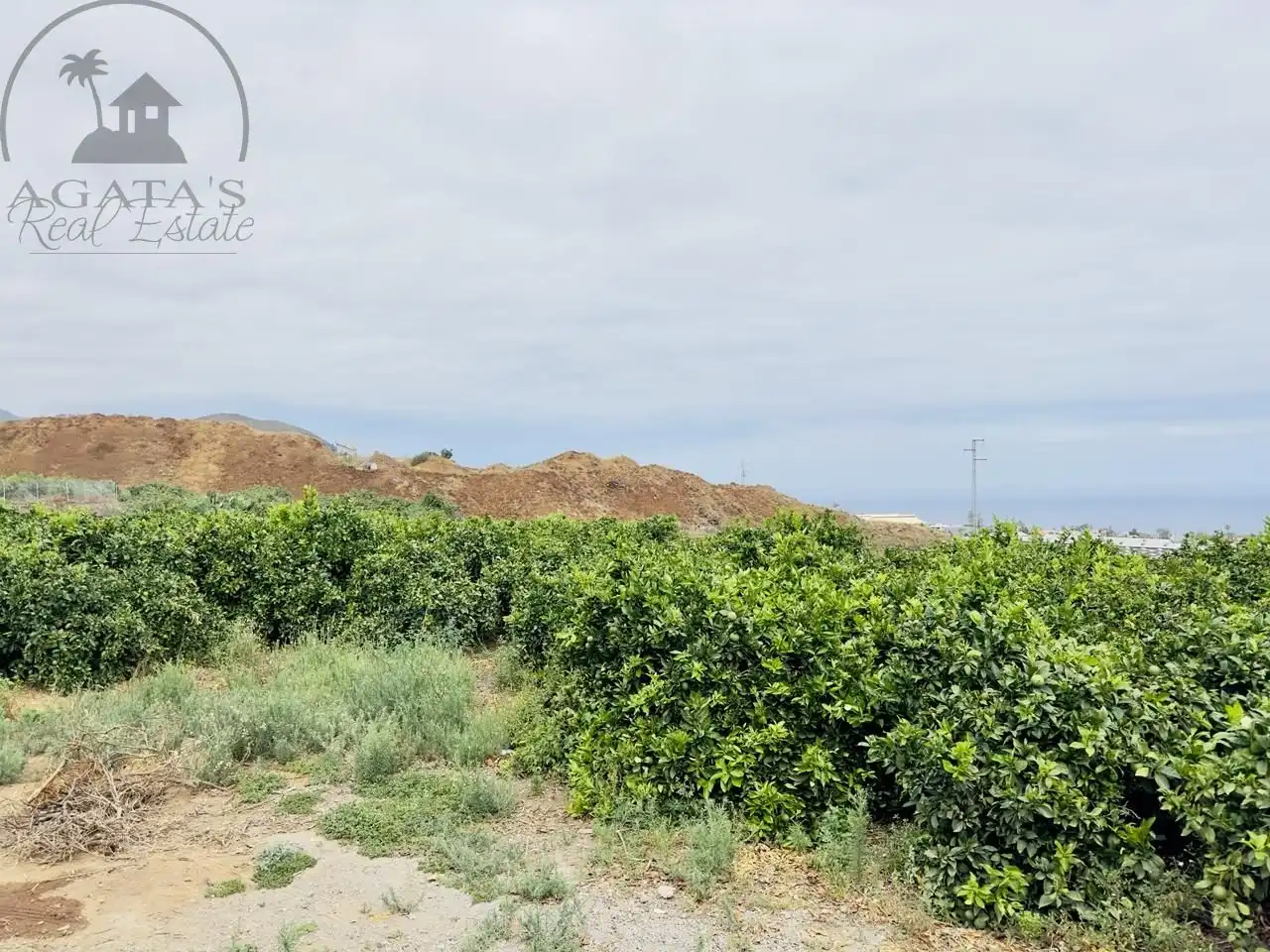 Finca rústica en venta en La Orotava con Jardín privado y Terraza
