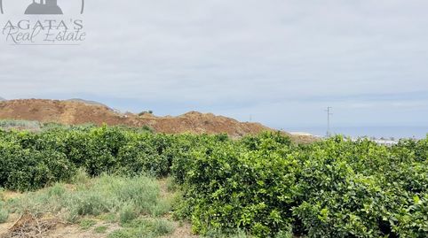 Foto 4 de Finca rústica en venta en La Perdoma - San Antonio - Benijos, La Orotava