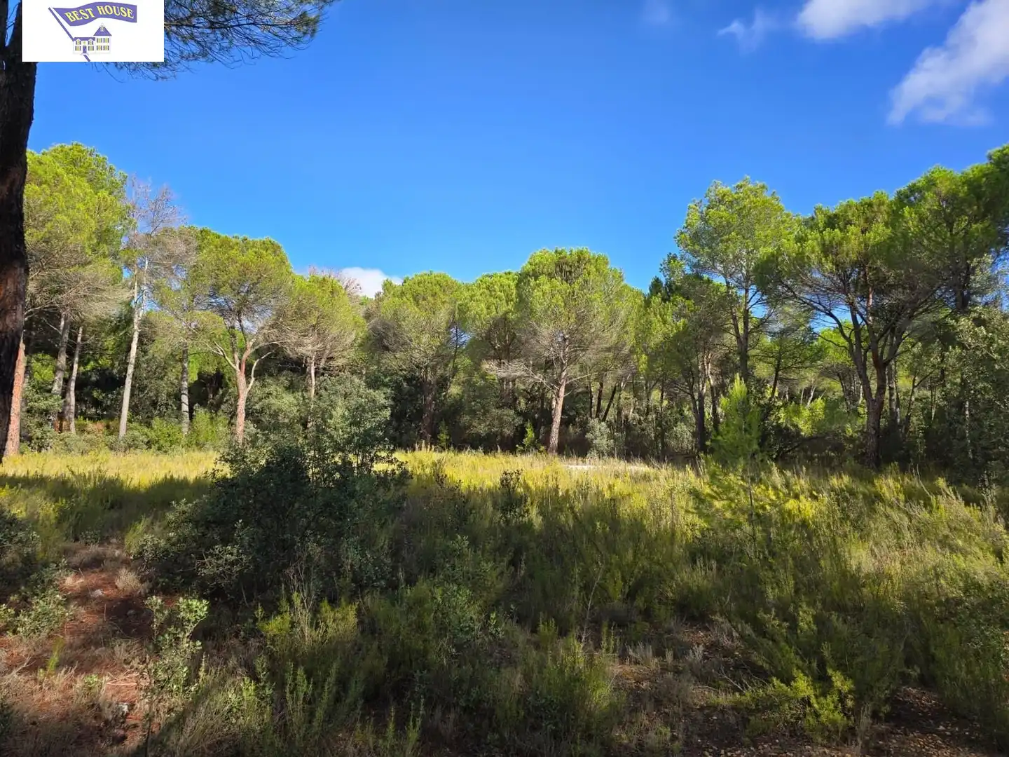Terreno rustico in vendita a Pedanías - Extrarradio, imagen 7