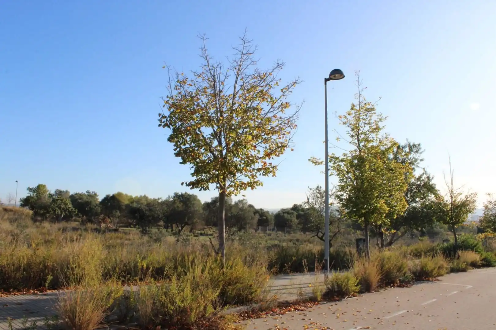 Terrain résidentiel à vendre à Carrer de les Roquetes 73, imagen 8