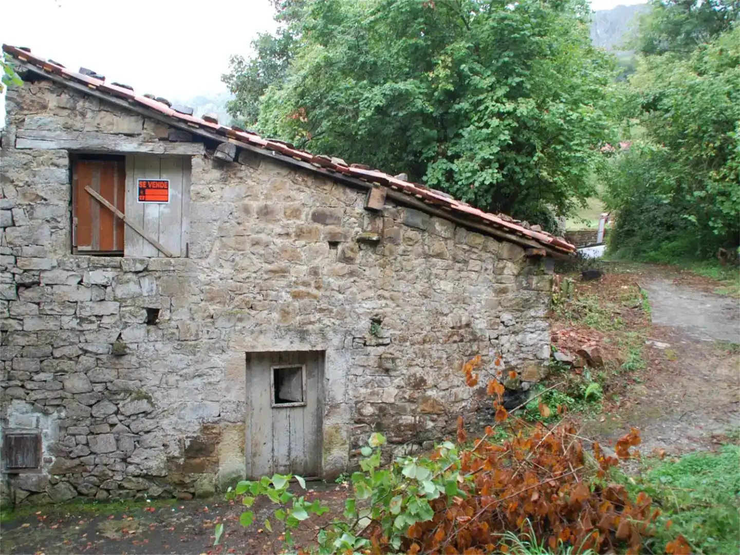Vista exterior de Finca rústica en venda en Cabrales