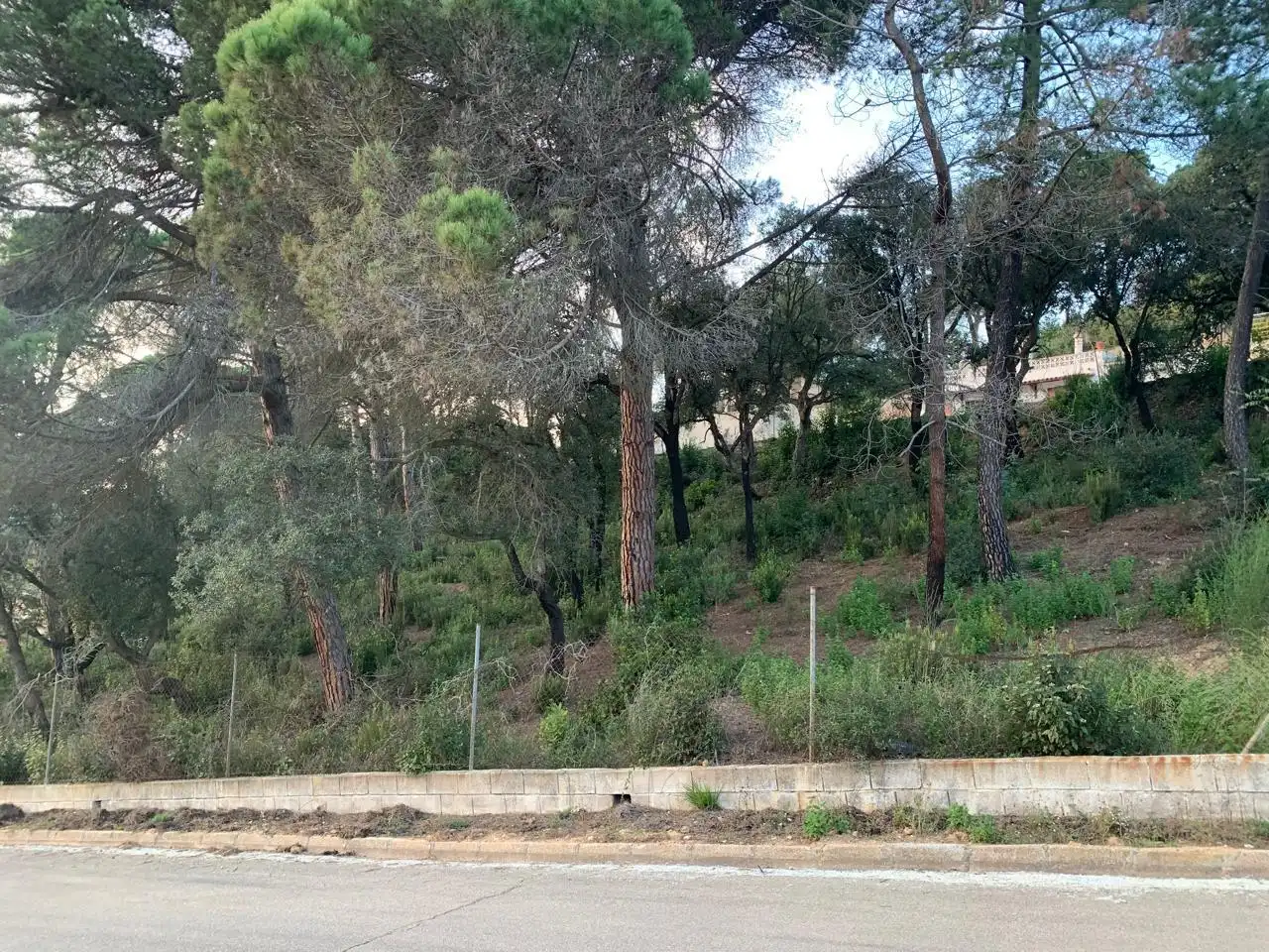 Grundstücke und Bauplätze zum Verkauf in Lloret Residencial - Montlloret, imagen 14