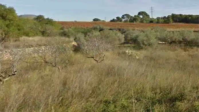 Residential land for sale in Nord, imagen 9