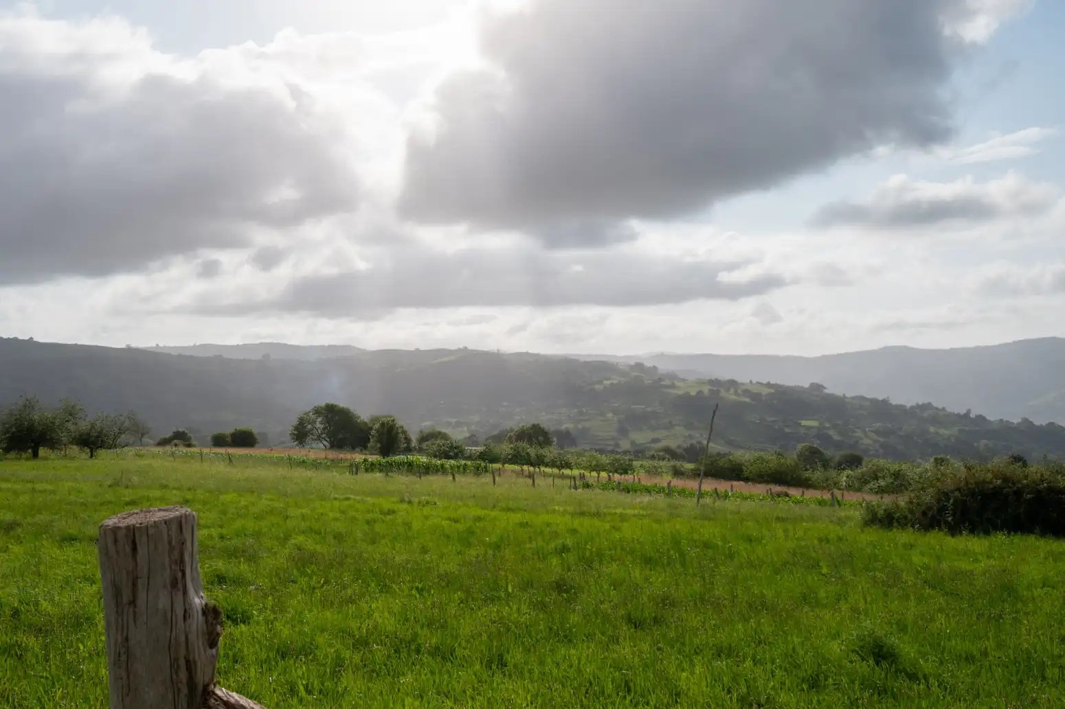 Residential land for sale in Poreño, imagen 13