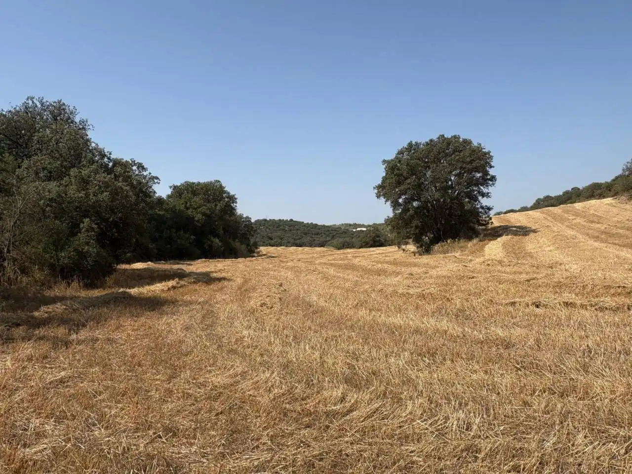 Terreno en venta en San Esteban de Litera
