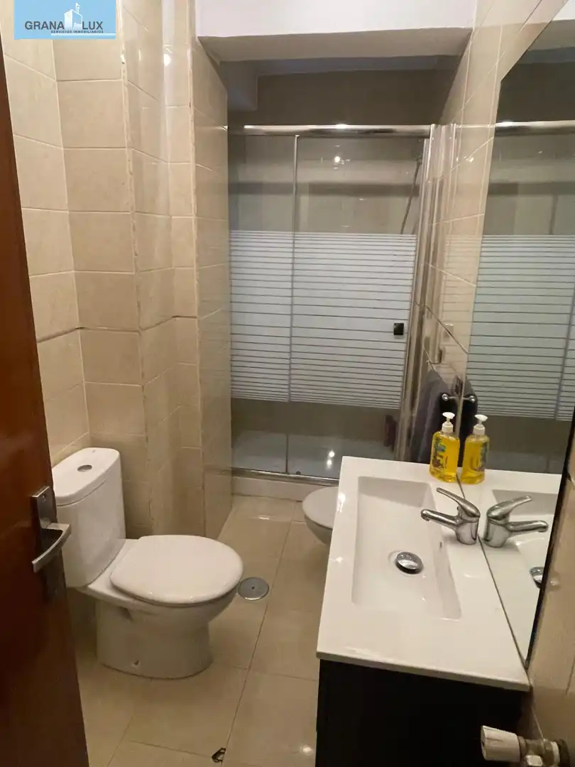 Bathroom of Flat for rent in Centro