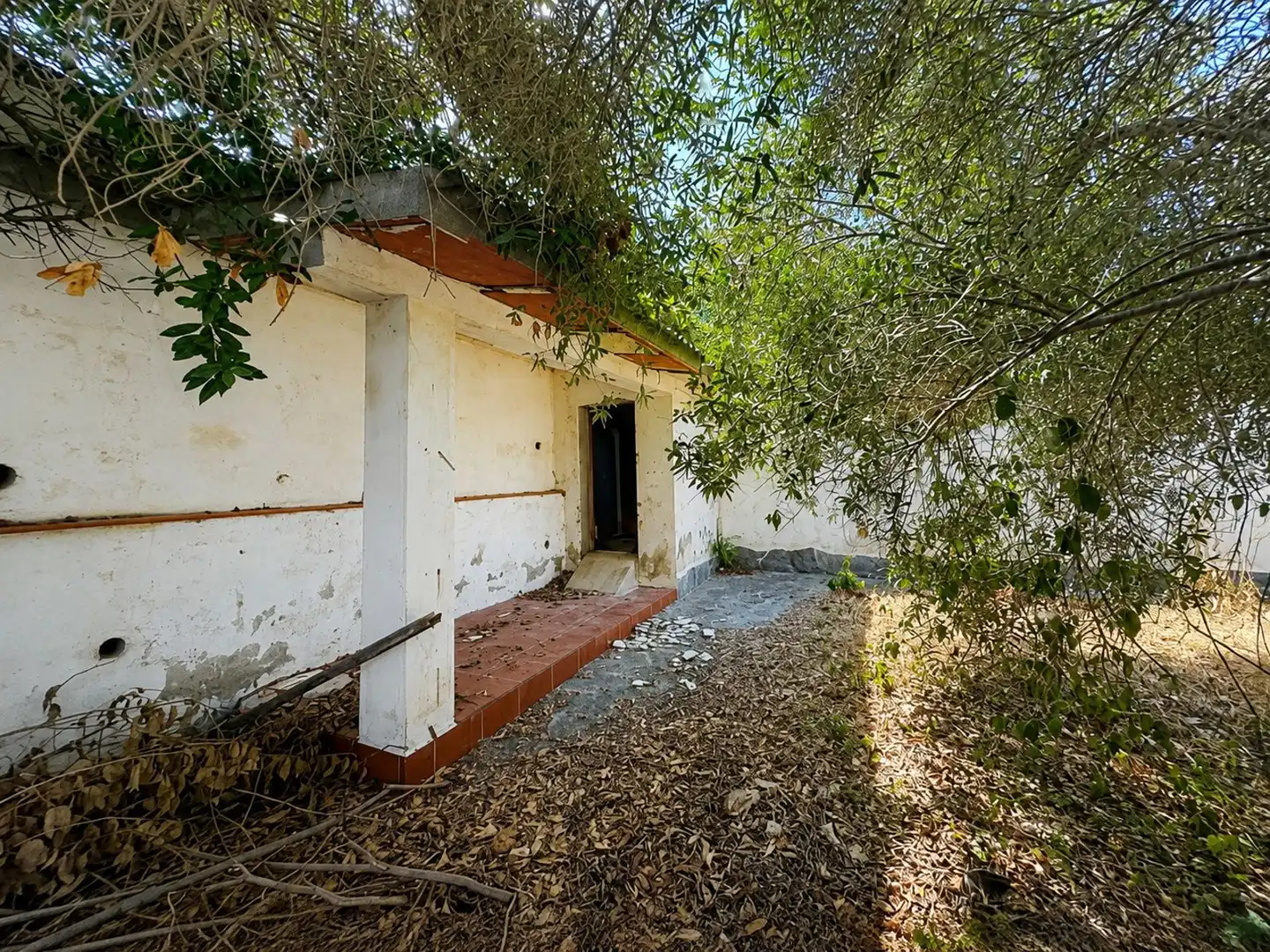 Detached house for sale in Ter (Del), imagen 21