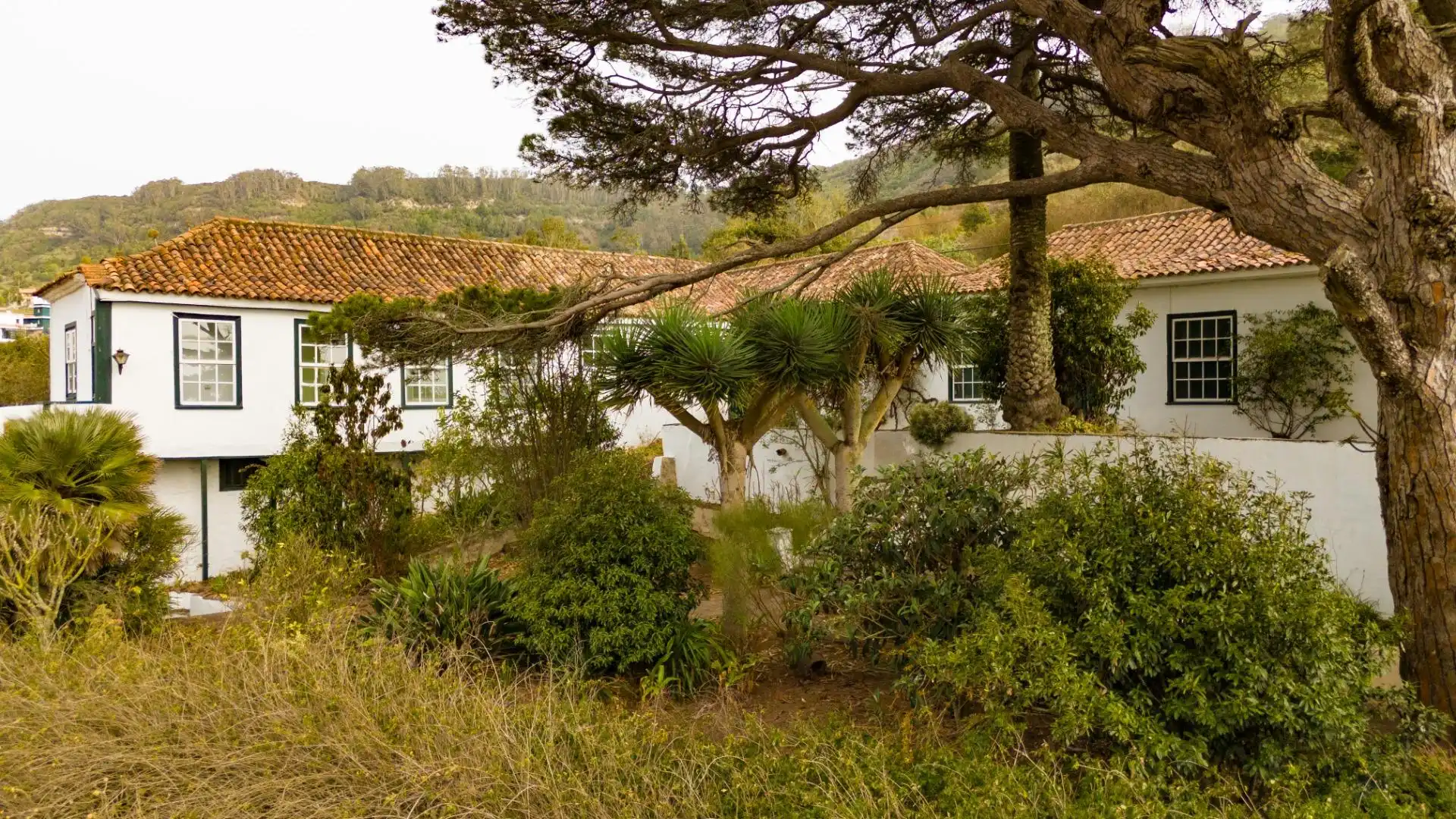 Jardí de Casa o xalet en venda en Tegueste amb Jardí privat, Terrassa i Balcó