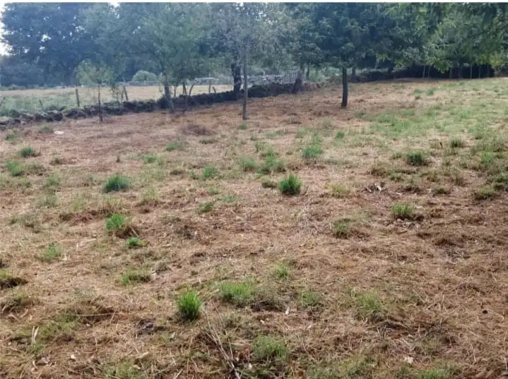 Finca rústica en venda en O Saviñao 