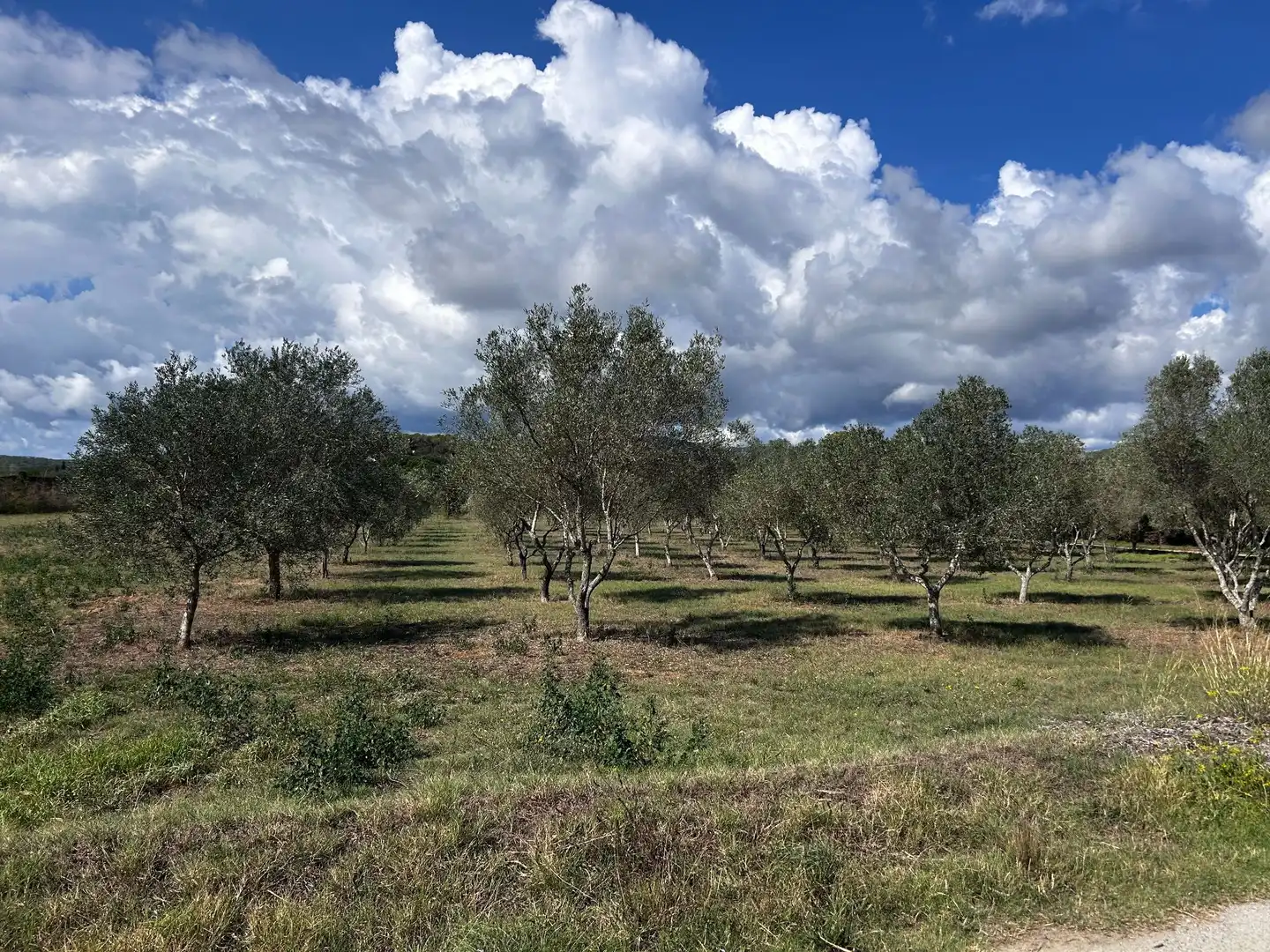 Finca rústica en venta en Palamós con Jardín privado
