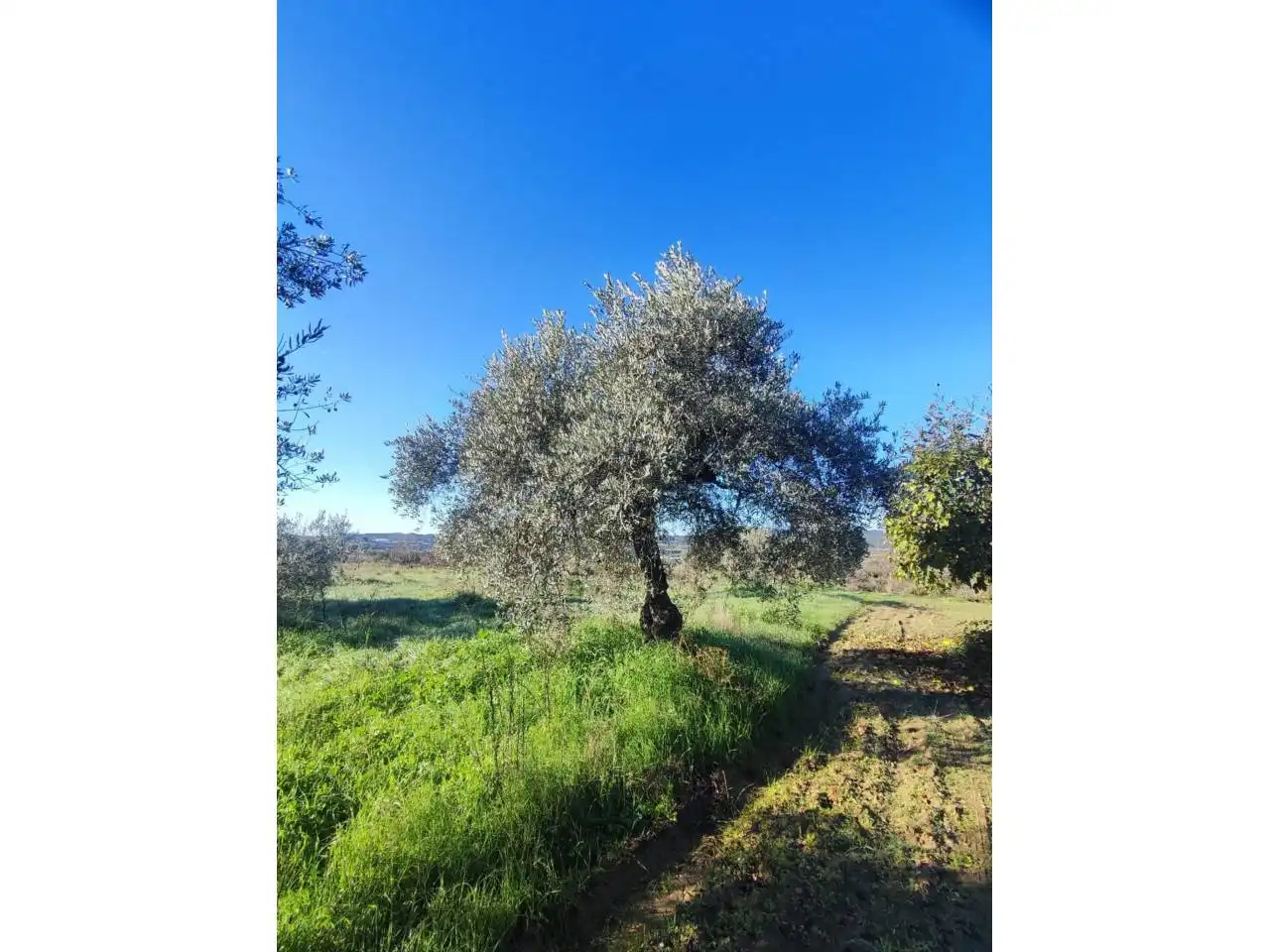 Residencial en venta en El Grado